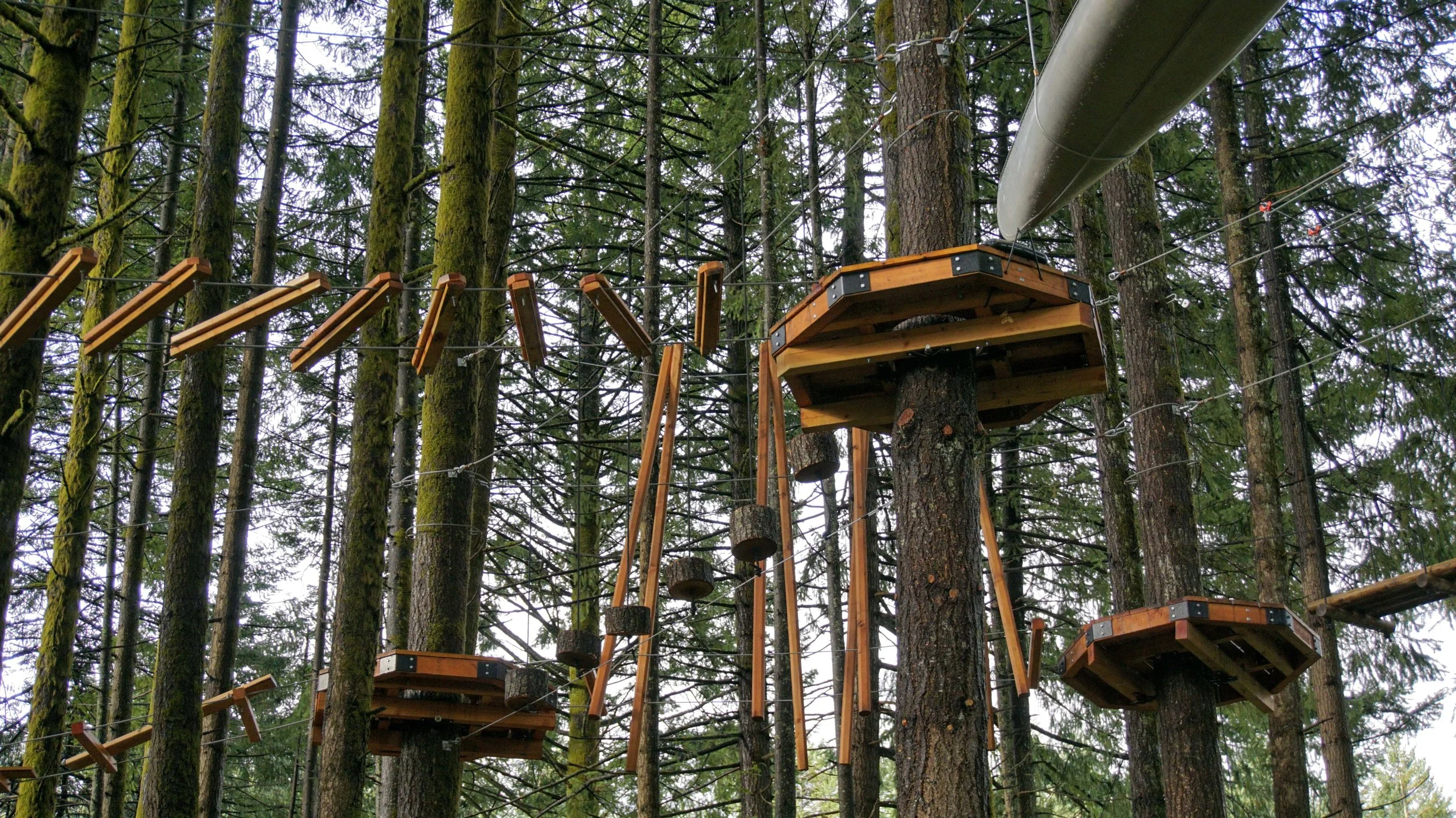Skamania Lodge Has A New Aerial Park! — Pacific North Wanderers